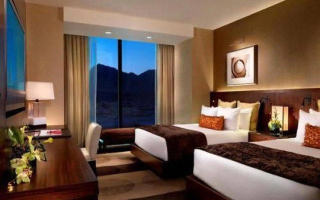 Standard Double room with pool view