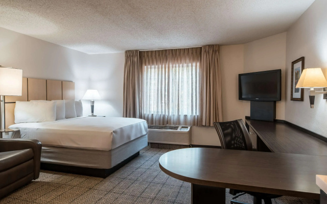 Double Studio Suite