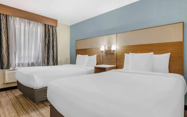 Pet Friendly Twin Suite