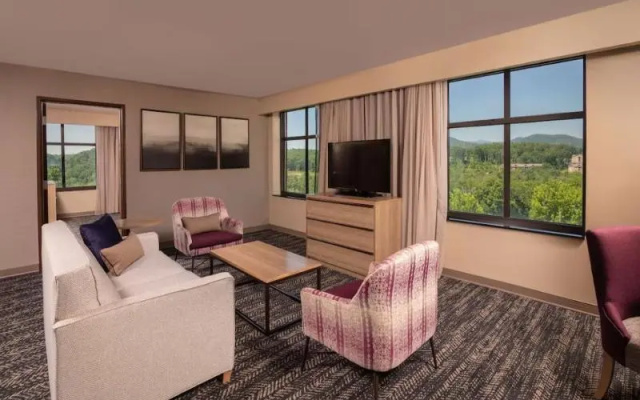 1 Bedroom Suite with garden view
