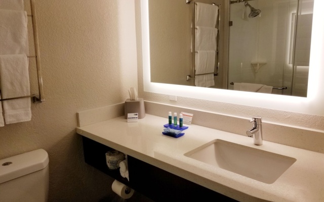 1 Bedroom Suite