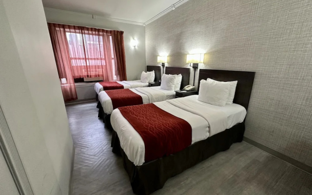 Triple room