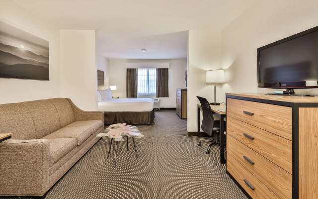 Suite
