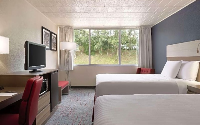 Standard Suite
