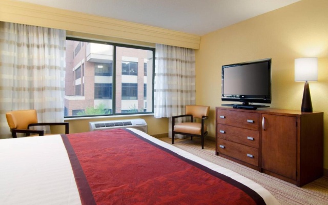 1 Bedroom Double Suite