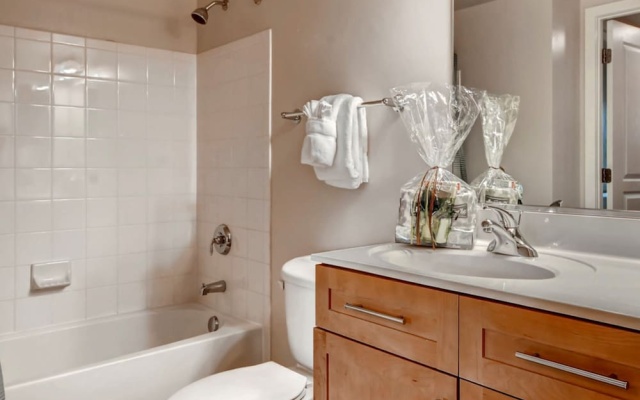 Luxury Apartment