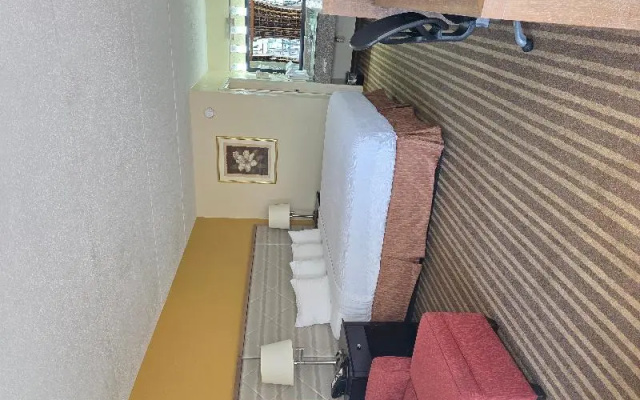 1 Bedroom Standard Double room