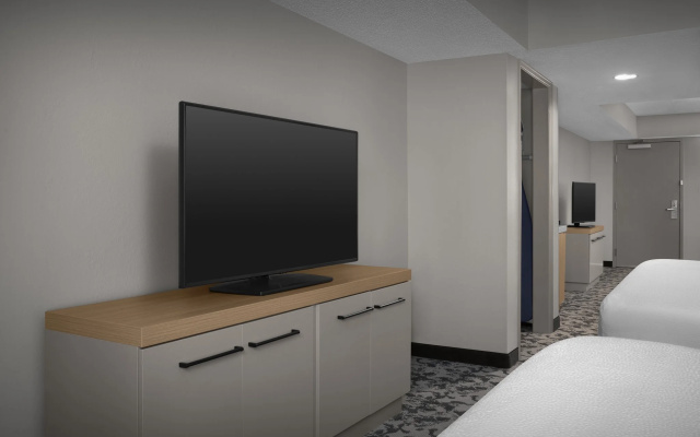 1 Bedroom Suite