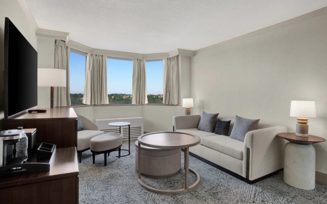 1 Bedroom Suite