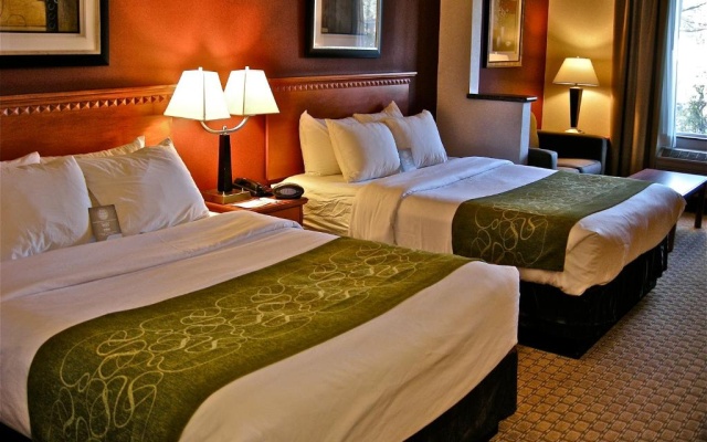 Standard Suite