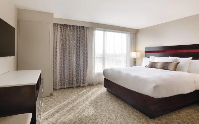 1 Bedroom Suite