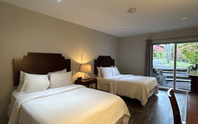 Standard Double room with balcony and with courtyard view