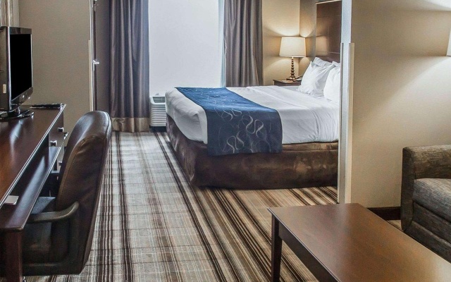 1 Bedroom Suite