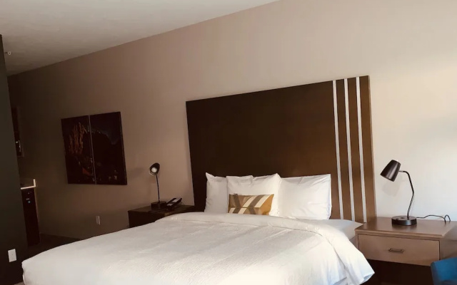 Double Family Suite