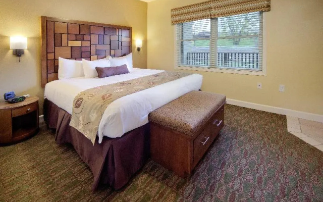 1 Bedroom Standard Double room