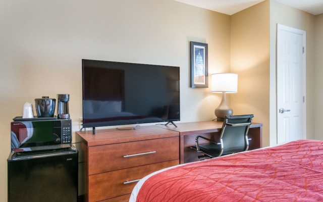 Standard Quadruple Basement room
