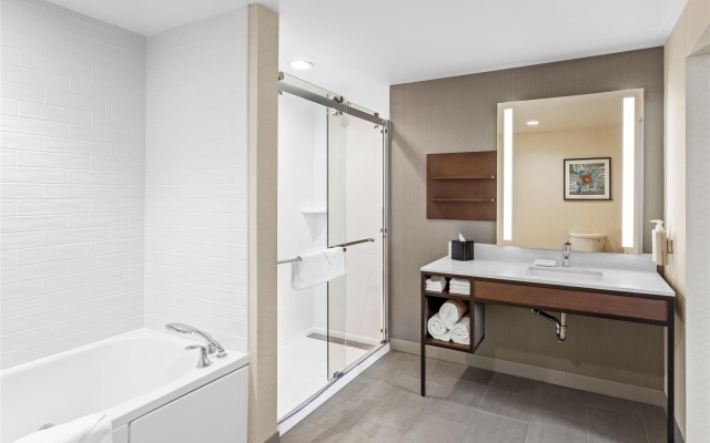 1 Bedroom Suite