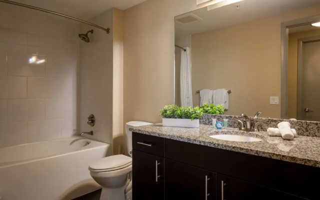 Deluxe Apartment