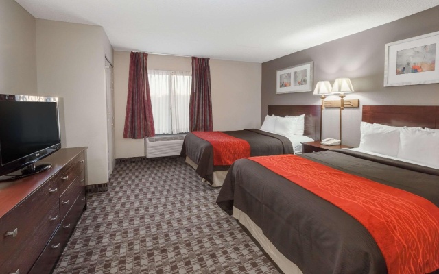 1 Bedroom Quadruple Suite