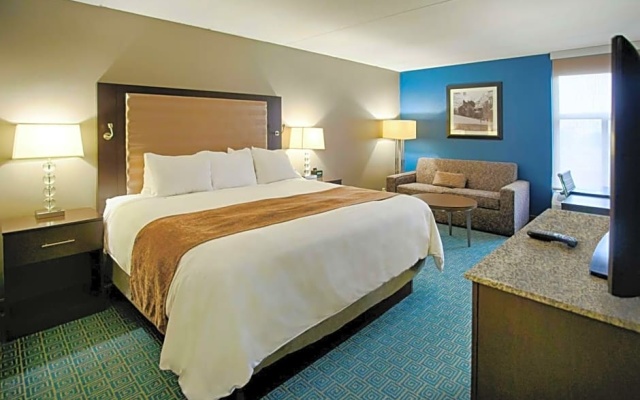 Standard Suite
