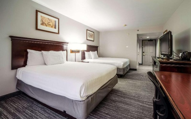1 Bedroom Quadruple Suite