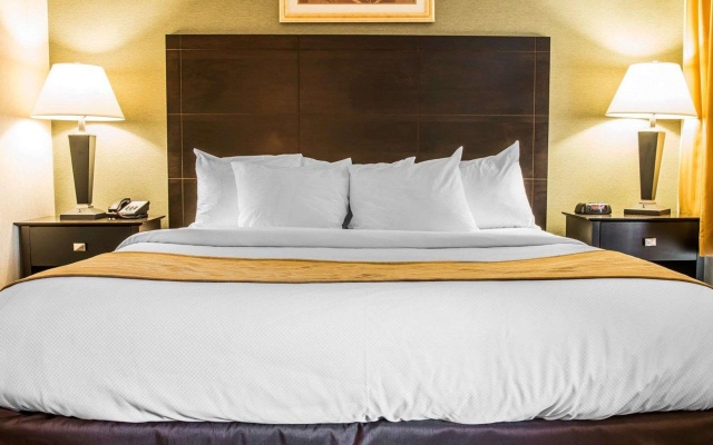 Quadruple Suite