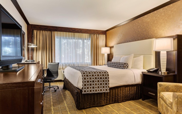 Executive Double room