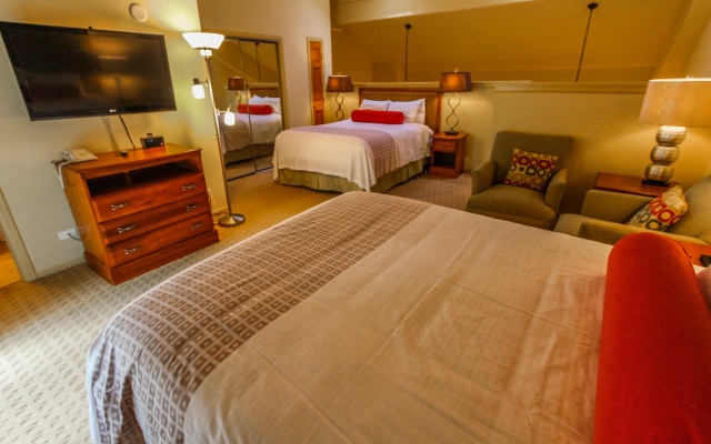 1 Bedroom Suite