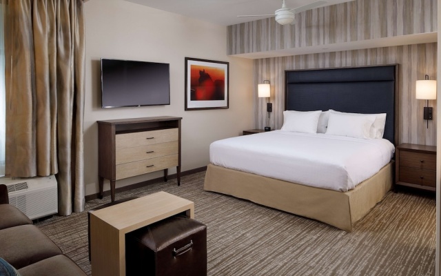 1 Bedroom Suite