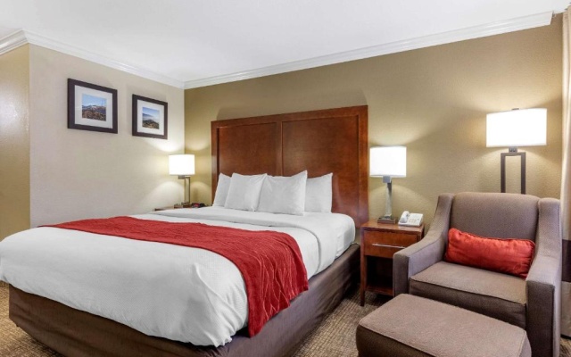 Double room