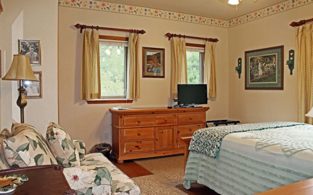 Standard Double room with balcony and with land view