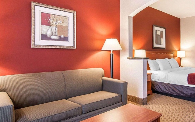 1 Bedroom Suite