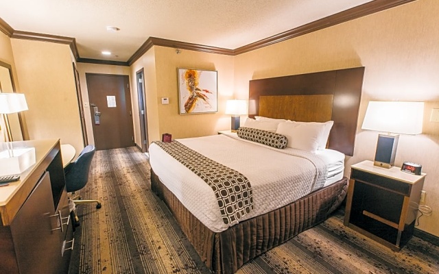 Executive room