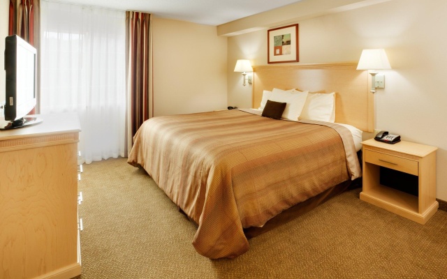 1 Bedroom Double Suite