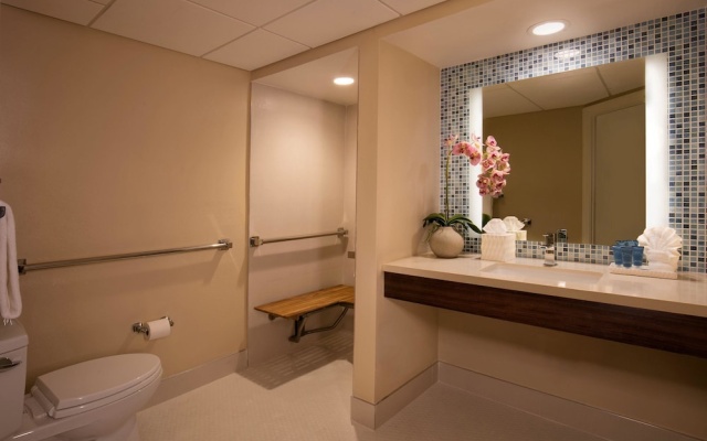 Tiki Tower Kitchenette Accessible Roll-In Shower Double room Standard View