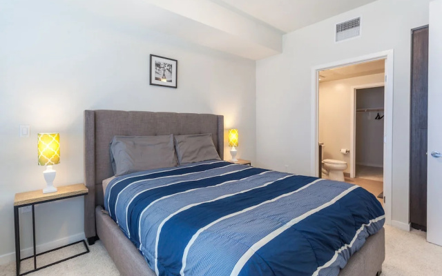 Luxury Apartment