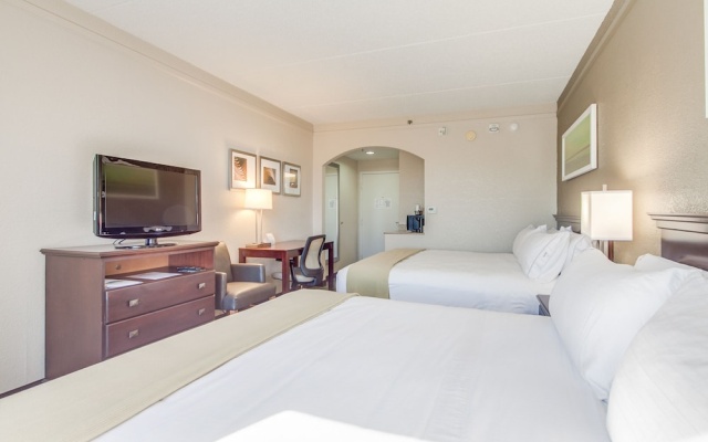 1 Bedroom Suite