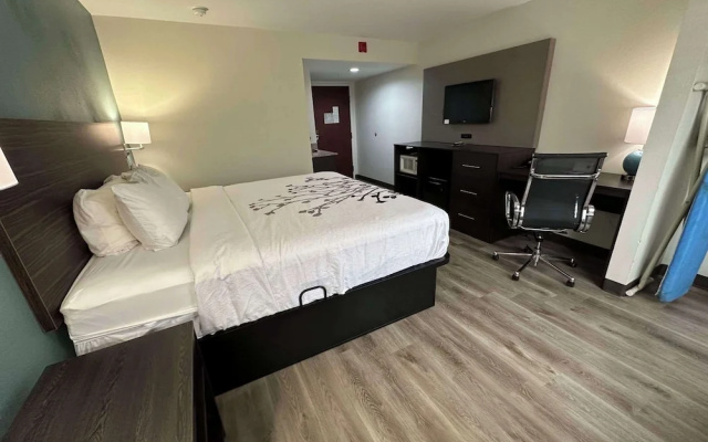 Business Double Suite
