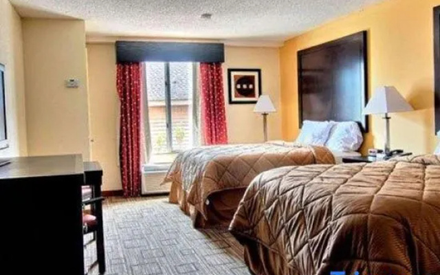 Quadruple Suite