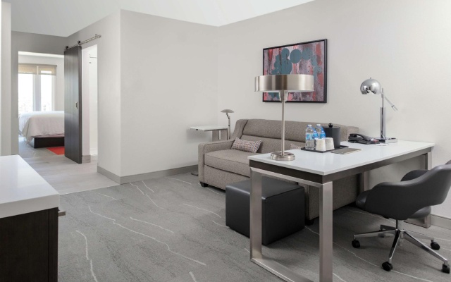 1 Bedroom Double Suite with mountain view