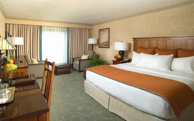 Premium Double room