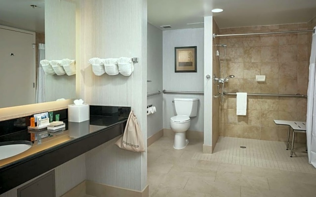 Double Suite with city view