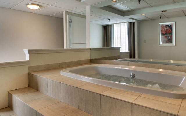 1 Bedroom Suite