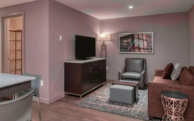 1 Bedroom Double Suite with view