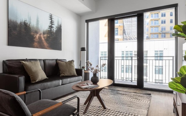 Deluxe Apartment