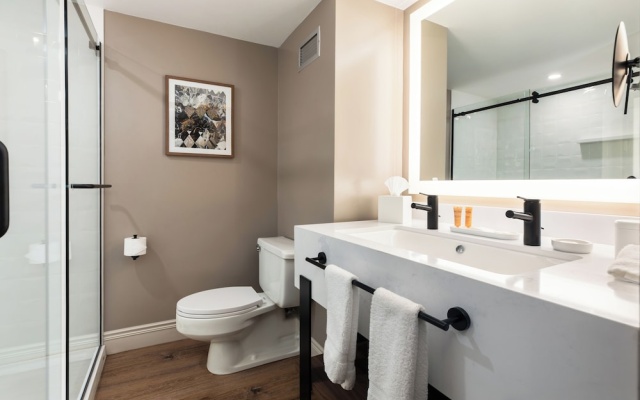Standard Double room with river view