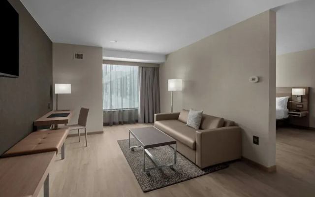 1 Bedroom Suite