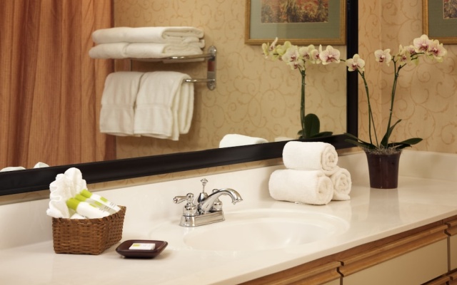 1 Bedroom Premium Suite with balcony