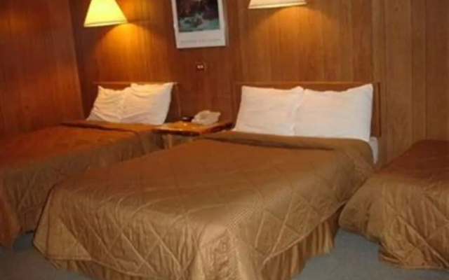 Standard Basement room