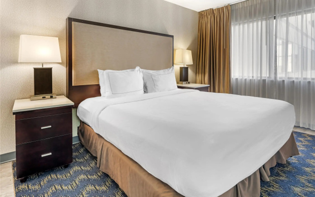 Double Suite
